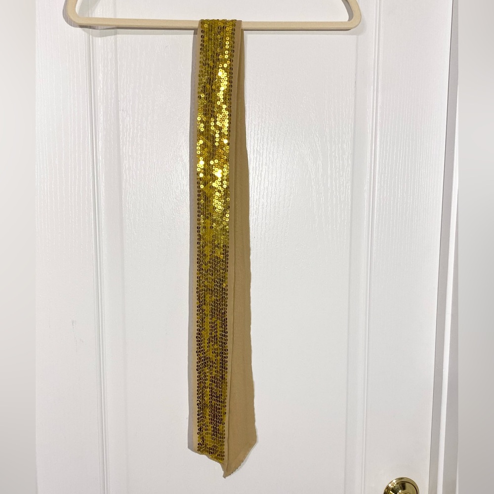 Sheer Gold Silk w/ Gold Sequins Sash Belt 57.5”L x 2.75”W - Picture 2 of 3